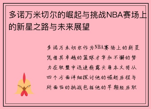 多诺万米切尔的崛起与挑战NBA赛场上的新星之路与未来展望
