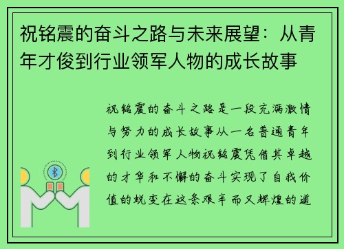 祝铭震的奋斗之路与未来展望：从青年才俊到行业领军人物的成长故事