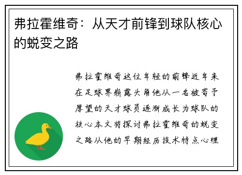 弗拉霍维奇：从天才前锋到球队核心的蜕变之路